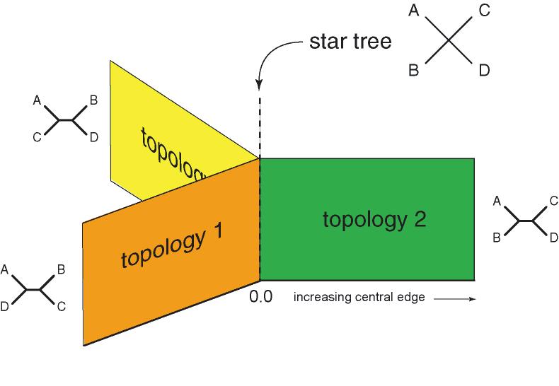 Tree geometry figure