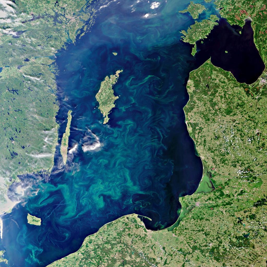 MERIS image, 11 July 2010. Oil spill in the Gulf of Mexico.