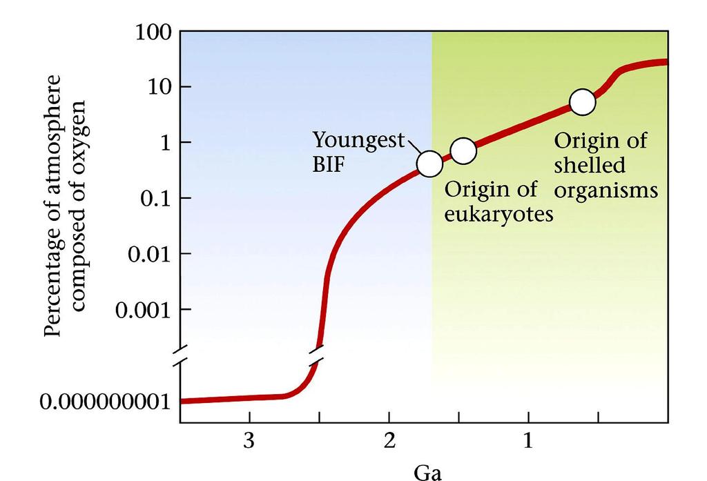 Oxygenation of the atmosphere Due to the proliferation of cyanobacteria