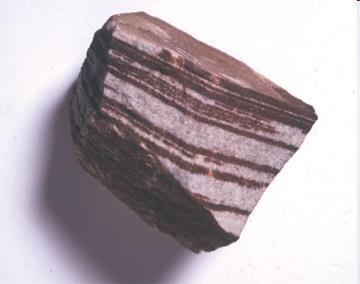 Sedimentary rocks make up 75-80% of the crust of the earth.