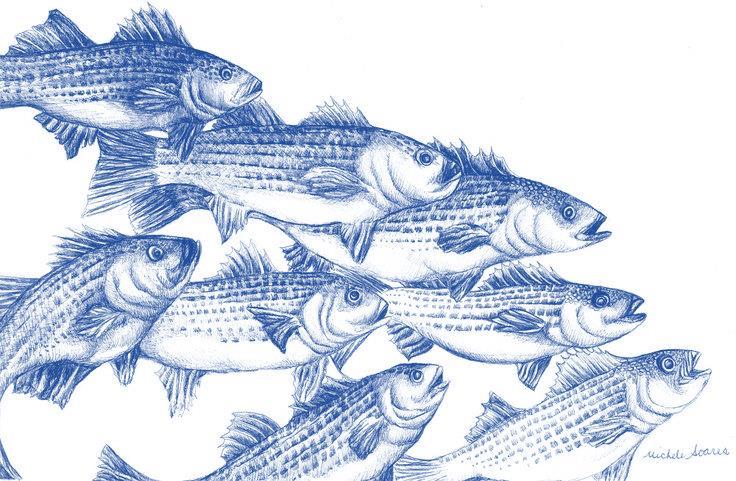 Motivation Production of sufficient forage fish is recognized as critical to advancing EBM Factors