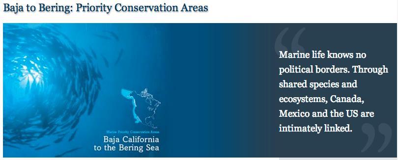 Marine Priority Conservation Areas: Baja California to the Bering Sea (B2B), is developing a plan for marine conservation at a