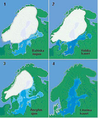 The development of the Baltic sea during ice retreat 10