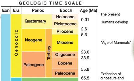 The Quaternary period: started 2 600 000 years ago (The age of the earth: 4 600 000 000