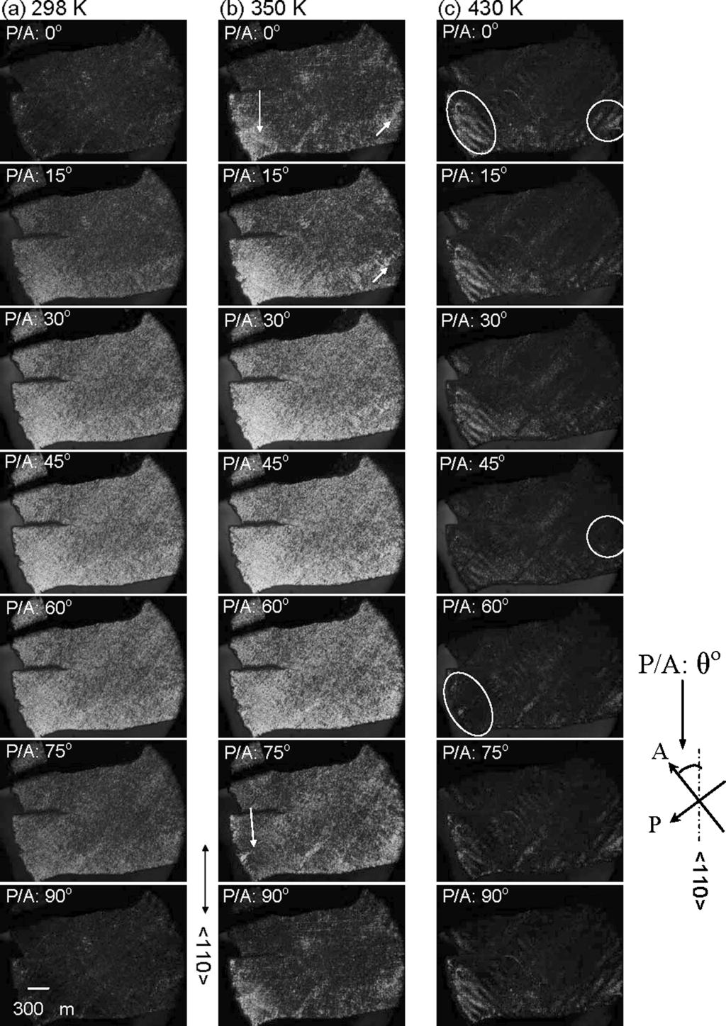 Figure 4. Domain micrographs taken with P/A angles from 0 to 90 at (a) 298 K (RT), (b) 350 K, and (c) 430 K.