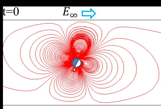 Generally, when a Janus particle is located in the liquid, the particle may be in a random position relative to the electrical field direction.