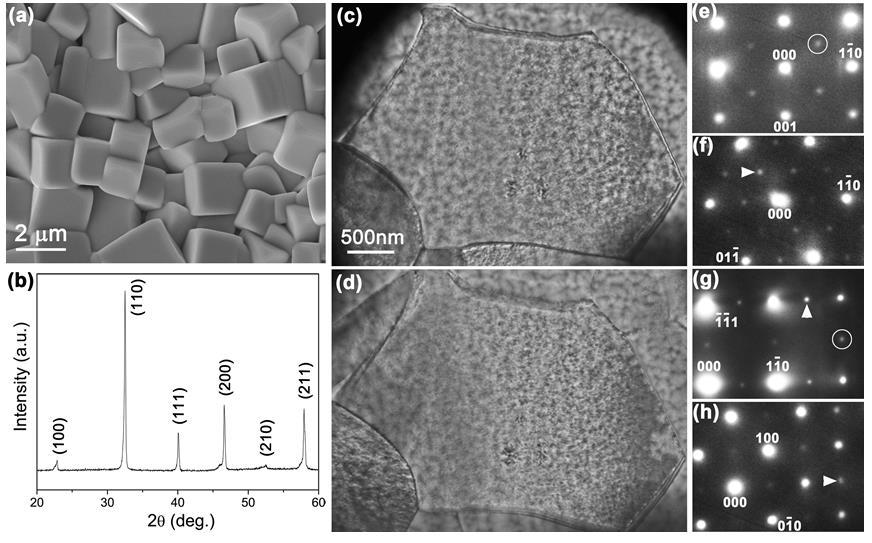 112 Figure 3. Structure examination of the BNT-2.5Nb ceramic. (a) scanning electron microscopy micrograph of the as-sintered pellet surface. (b) X-ray diffraction spectrum.