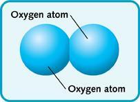 Oxygen is molecule