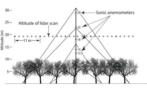 WITH WAVES VERTICAL VELOCITIES Figure 2: Arrangement of wind, temperature, and humidity sensors above the trees on the NCAR ISFF 30