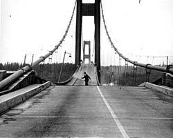 was a car left on it with a dog trapped inside who did not survive. What made the Tacoma Narrows Bridge so famous was that it s catastrophic collapse was caught on camera.