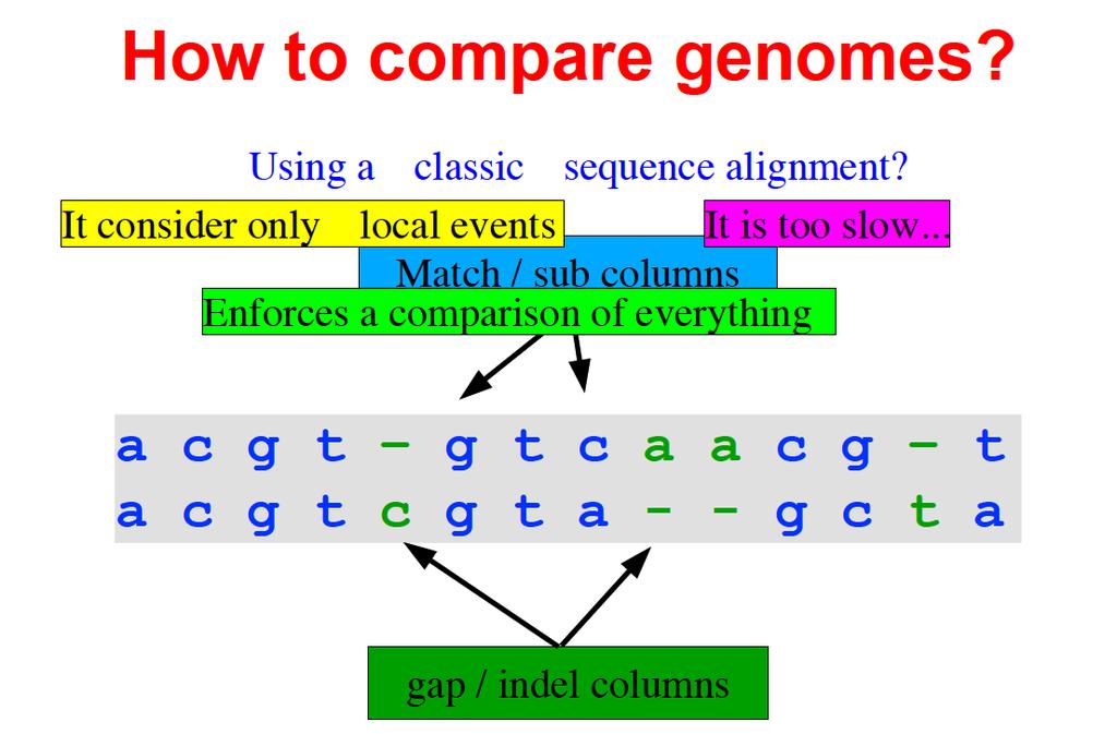 How to align genomes? h"p://www.daimi.au.