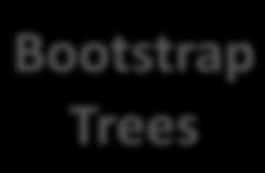 Tree Bootstrap Value