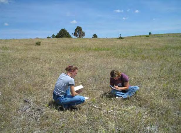 Figure 4. Melanie Williams and Rachel Shorma identifying plants and estimating vegetative canopy cover using the Daubenmire frame, June 2004.