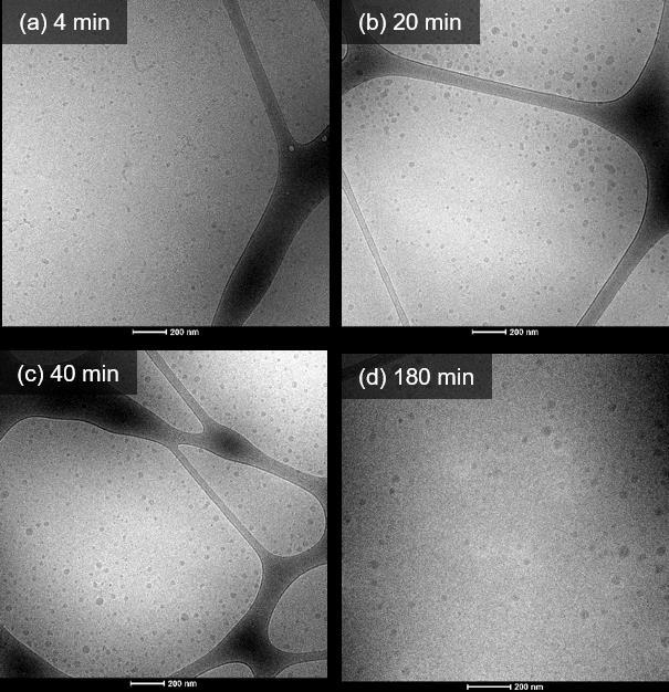 Cryo Transmission Electron Microscopy Representative cryo-tem images of the SDDs of 70-20 (HPMCAS and C12-PNIPAm-7) during dissolution are shown in Figure S11.