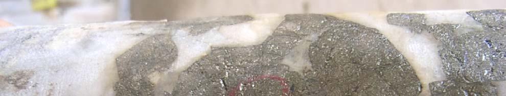 Quartz stockwork system cutting micro-granite sill Limited oxide bulk