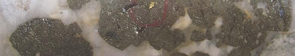 quartz veins Visible gold & high gold values associated with pyrite,