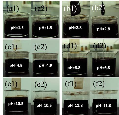 Fig.S3 Al 2p XPS profiles of an as-prepared GO (dried at 70 C, without AAO immersion) and a formed GO hydrogel (dried at 70 C). No Al is detectable in GO while ~1.