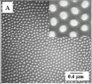 Electron Micrographs of the Freestanding,