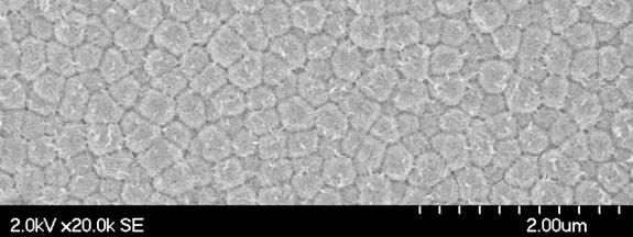 6 µm H3P4 EM Pore