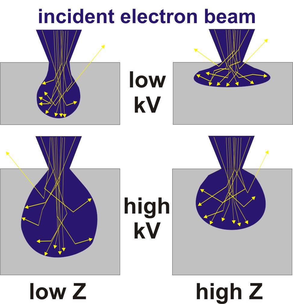 3.2. Contrast Generation in the Electron Microscope Figure 8: Interaction volumes of the incident electron beam (blue) in compact samples (grey) depending on electron energy and atomic number Z.