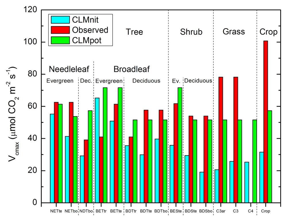 2. The problem CLM photosynthetic capacity 5 Observed and model V cmax (25 ºC) for CLM plant functional types CLM realized V cmax after N down-regulation is less