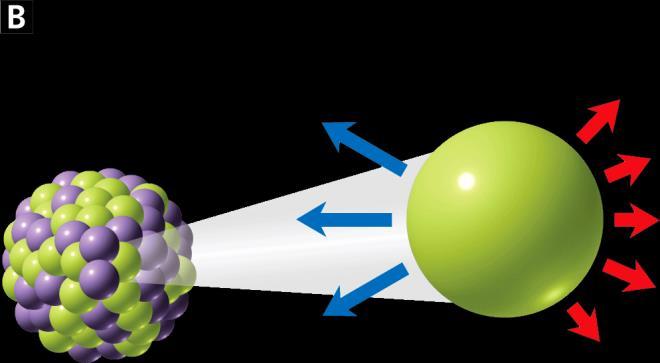 electric force between the protons. B.