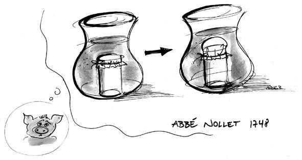 1.3 Membranes, economy of size and affinity 5 Fig. 1.3. A sketchbook impression of Nollet s chance discovery of semipermeability: Water entering a membrane-capped vial containing spirit of wine creates pressure (courtesy Anne Böddeker).