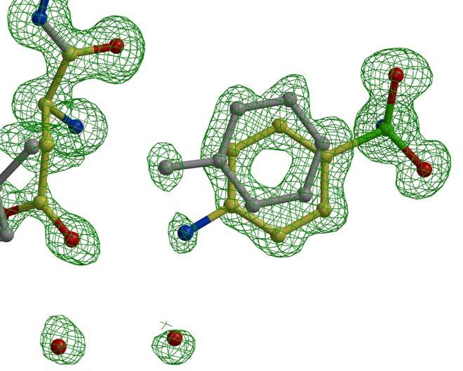Multiple Conformations in Atomic Resolution Structures Asp25 3.1 2.6 2.9 2.7 Asp25 V82A/Darunavir at 1.