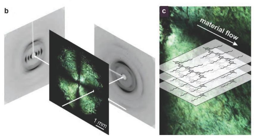 flexible film Material anisotropy X-ray
