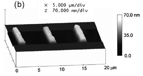 substrate where OTS is not present Optical and AFM images
