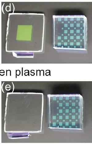 Micro-Contact Printing (µcp) IV Subtractive C. Packard et al.