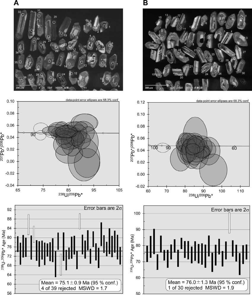 Campanian ammonoids from Urakawa 327 Figure 4. U Pb zircon ages of tuff samples collected at Loc. 2 (A) and Loc. 9 (B). Upper, Cathodoluminescence image (CL) of zircon grains from the samples.
