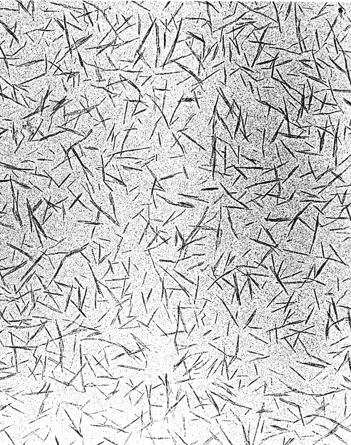The nanocrystals are made up of ~25 chains of 13000 glucose units Whisker shaped particles 100-200 nm x 5-10 nm Highly crystalline cellulose I can be used to prepare flat model surfaces Average