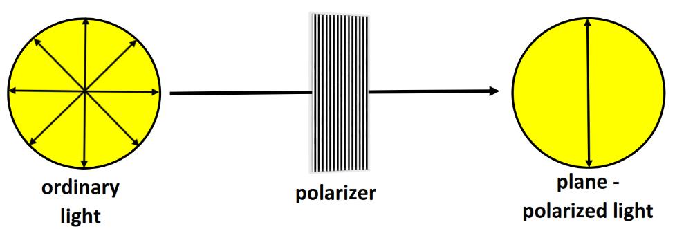 Plane-polarized light Ordinary light consists of waves that vibrate in all planes perpendicular to its direction of travel.