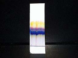 Separation of a Mixture Components of dyes such as ink may be separated by paper chromatography.