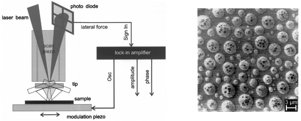 Similarly, biomolecules have successfully been detected, analyzed, and manipulated using AFM. 18 Figure 3.33: (left) Experimental setup of the friction-force microscopy.