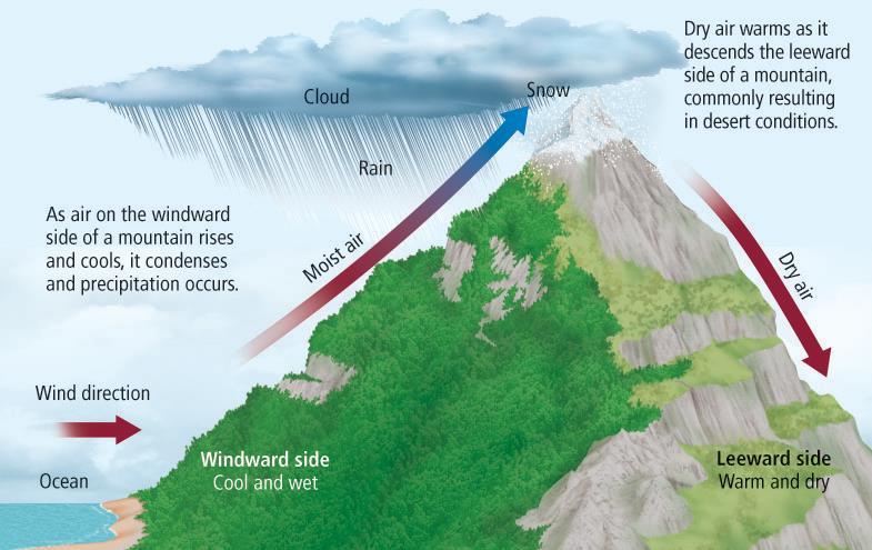What Causes Climates? 2. Topographic Effects Large bodies of water affect the climates of coastal areas because water heats up and cools down more slowly than land.
