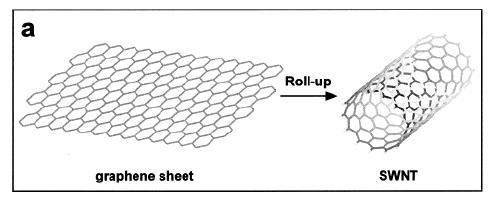 Carbon nanotube: