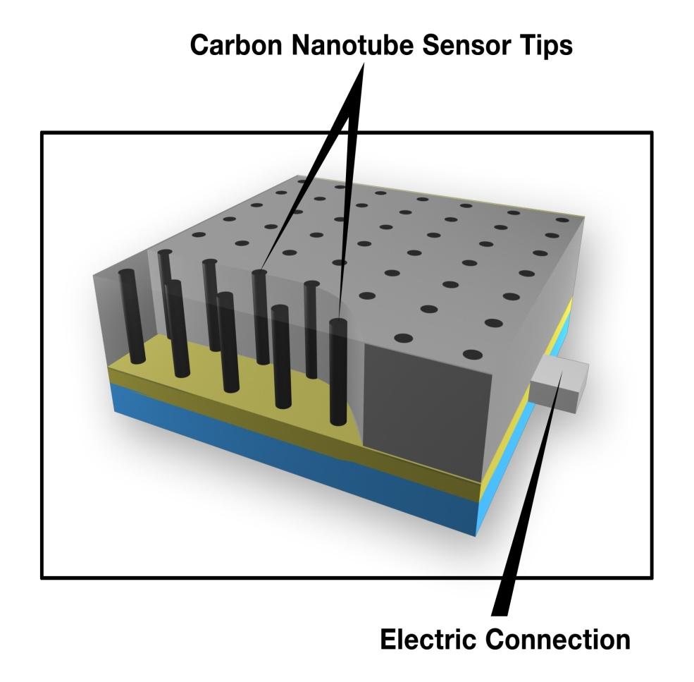 Nanotechnology Applications: Biosensors Based On Carbon Nanotube Arrays Tu,