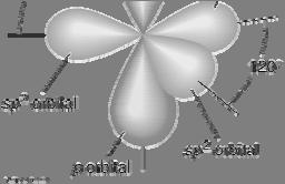 During hybridization, two of the 2p orbitals mix