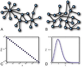 Synchronization transitions in Networks Two remarkable examples of network architecture: Scale-free networks: P(k) k γ