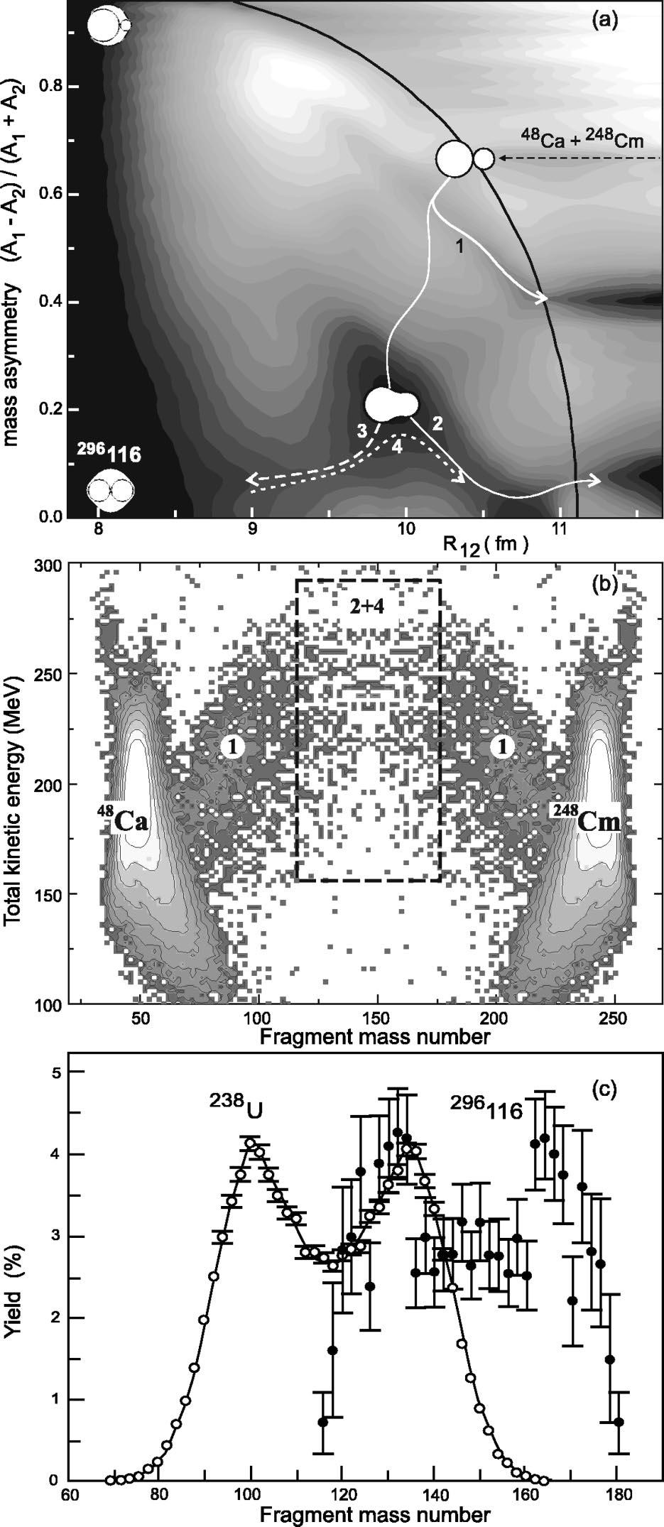 FISSION BARRIERS OF SUPERHEAVY NUCLEI PHYSICAL REVIEW C 65 044602 FIG. 5. a Driving potential as a function of mass asymmetry and distance between centers of two nuclei with zero deformations 14.