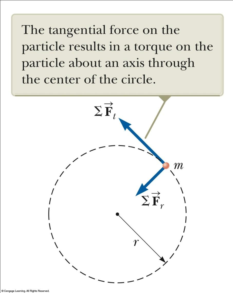 Torque and Angular Acceleration Consider a particle of mass m rotating in a circle of radius r under the influence of tangential force.
