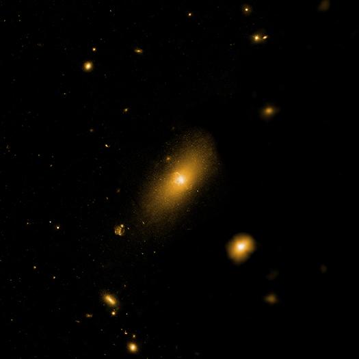 galaxy cluster Abell 2597: cool core cluster op^cal