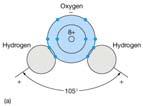 Oxygen (8 protons) 16 O 17 O 18 O 99.8% 0.04% Hydrogen (1 proton) 0.2% 1 H 2 H (Deuterium) 3 H (tritium) 99.98% 0.016% (?bombs) So, can make 9 isotopic combinations of H 2 O, e.g., 18 ( 1 H 16 2 O)