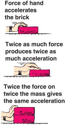 10. Describe the acceleration experienced by a ball thrown upwards from the moment it leaves the throwers hand to the moment it impacts the ground. (A sketch can help): 3.