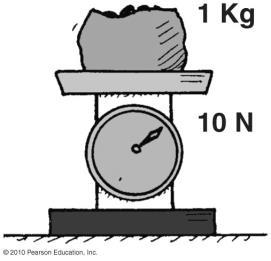 4. What is the main difference between mass and weight? 5. How can inertia help you sense an object s mass? 6. Define: Mass: Weight: 7.