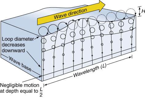 Ocean Waves (3) L is used to represent wavelength, the distance between successive wave crests or troughs.
