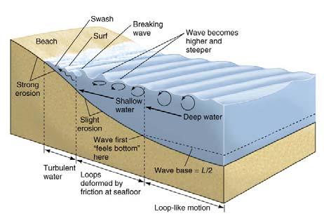 Ocean Waves (5) When the wave reaches depth L/2, its base encounters frictional resistance exerted by the seafloor. This causes the wave height to increase and the wave length to decrease.