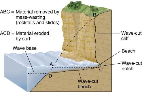 wave-cut cliff, which may have a welldeveloped notch at its base.